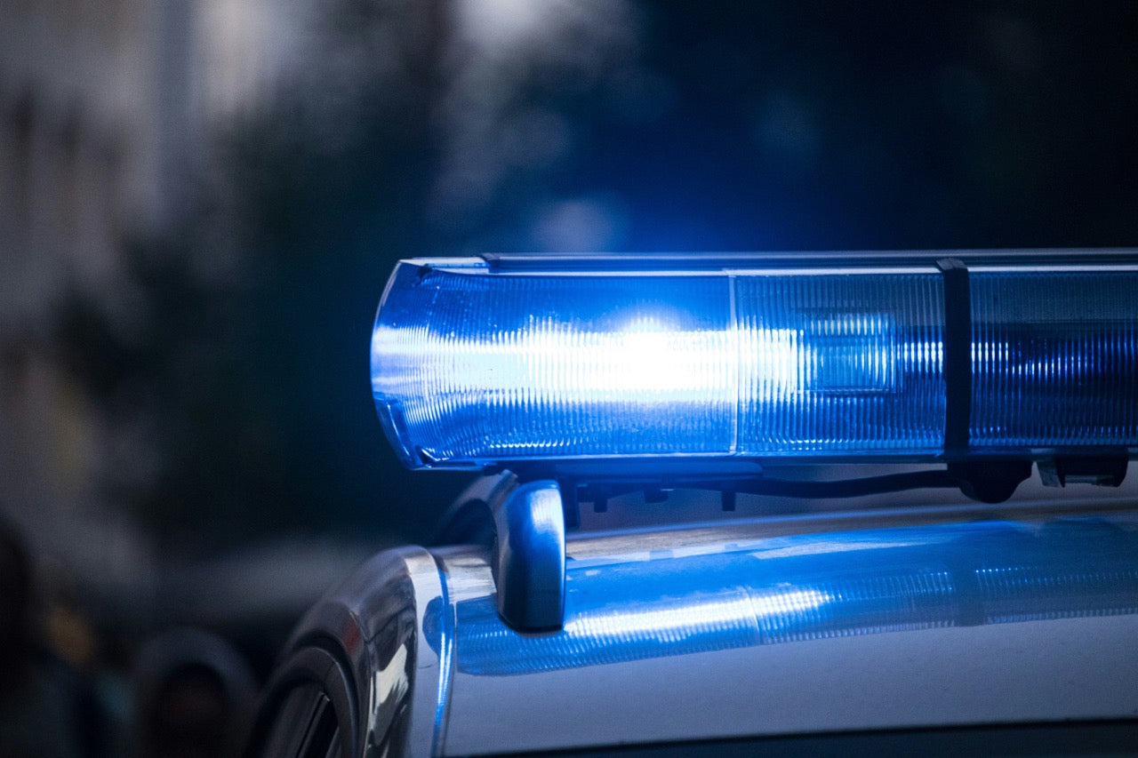 Charged with Possession of Psilocybin Mushrooms in Michigan: A New Look at Schedule 1 Drug Cases